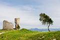 Scenic view of ruins of an old building and a tree iin Cadiz, Andalucia, Spain Royalty Free Stock Photo