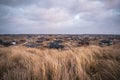 Scenic view of rural houses on the Bjerregard beach on a cloudy day in Hvide Sande, Denmark Royalty Free Stock Photo