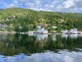 Scenic view of rural houses on a green hill against a lake Royalty Free Stock Photo