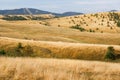 Scenic view of a rural mountain landscape with a cow in distance Royalty Free Stock Photo