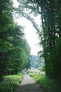scenic view of rural road between trees in Hamburg