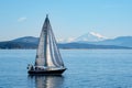 Scenic view of a sailboat at Sidney port in Sidney, BC Canada