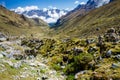 Scenic view on the Salkantay trek green mountains clear blue sky Royalty Free Stock Photo