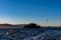 Scenic view of the San Francisco Bay with flying Sea gull, islands and Alcatraz Royalty Free Stock Photo