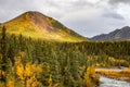 Scenic view of Savage river in Denali national park at fall Royalty Free Stock Photo