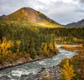 Scenic view of Savage river in Denali national park at fall Royalty Free Stock Photo