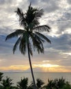 Scenic view of sea against sunset sky Royalty Free Stock Photo