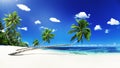 Scenic View Sea Shore Sand Coconut Palm Trees Concept Royalty Free Stock Photo