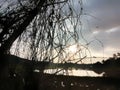 Silhouettes of Branches and Scenic View of the Field During Sunrise Hours Royalty Free Stock Photo