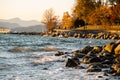 Scenic view of sea waves crashing against rocks in a park at golden hour Royalty Free Stock Photo