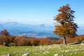 Scenic view from Serra Di Crispo in autumn, Pollino National Park, southern Apennine Mountains, southern Italy Royalty Free Stock Photo