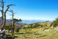 Scenic view from Serra Di Crispo, Pollino National Park, southern Italy Royalty Free Stock Photo