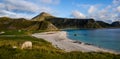 Scenic view on a sheep, ocean and mountains against colorful sky