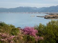 Scenic view of Shikoku coastline on the outskirts of Saijo city Royalty Free Stock Photo