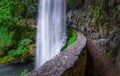 Scenic view of Silver Falls Park in Oregon, featuring a beautiful waterfall. Royalty Free Stock Photo