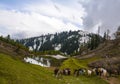 Scenic view of Siri Paye in Kaghan valley, Pakistan