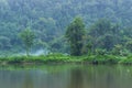 Scenic view of Situ Gunung Lake surrounded by misty forest in Gede Pangrango National Park, Indonesia