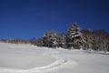 Scenic view of ski slope with a ski trace on non groomed piste.