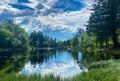 Scenic view of Skomakerdiket lake near Mount Floyen surrounded by greenery in Bergen, Norway