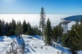 A scenic view of Skyride Gondola at The Peak of Vancouver Royalty Free Stock Photo