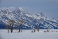 Scenic view of snow covered Teton Range on a cloudy winter day in Wyoming.