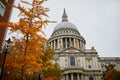 Scenic view of St. Paul cathedral in London, United Kingdom, on fall day Royalty Free Stock Photo