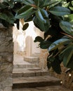 Scenic view of a stone alley stairs street with plants in Korcula old town, Croatia