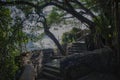 Stone staircase in the rainforest Royalty Free Stock Photo