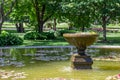 Scenic view of a stone water fountain surrounded by water lilies