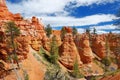 Scenic view of stunning red sandstone hoodoos in Bryce Canyon National Park Royalty Free Stock Photo