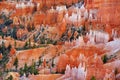 Scenic view of stunning red sandstone hoodoos in Bryce Canyon National Park Royalty Free Stock Photo