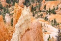 Scenic view of stunning red sandstone hoodoos in Bryce Canyon National Park in Utah, USA Royalty Free Stock Photo