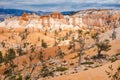 Scenic view of stunning red sandstone hoodoos in Bryce Canyon National Park in Utah, USA Royalty Free Stock Photo