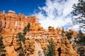 Scenic view of stunning red sandstone hoodoos in Bryce Canyon National Park in Utah, USA Royalty Free Stock Photo