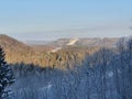 Scenic view of the sunrise over a dense mountain snowy forest Royalty Free Stock Photo