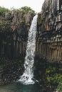 scenic view of Svartifoss ( Black fall) waterfall