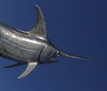 Scenic view of a swordfish on a blue background