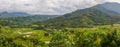 Scenic view of taro fields in the beautiful Hanalei Valley, Kauai Island Royalty Free Stock Photo