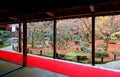 Scenic view from a tatami room by a Japanese courtyard garden with colorful maple trees & fallen leaves in a peaceful Zen ambiance Royalty Free Stock Photo