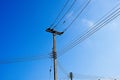 Scenic view of telephone poles and overhead electrical wires against a beautiful blue sky Royalty Free Stock Photo