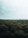 Scenic view from 6th floor LHC of a green lush treetops and a clear sky on a sunny day Royalty Free Stock Photo