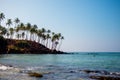 Scenic view to Coconut palm hill in Mirissa bay in Sri lanka