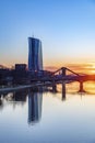 scenic view to skyline of Frankfurt am Main with reflection of the european central bank in river Main