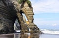 Scenic view of Tongaporutu elephant rock in New Zealand Royalty Free Stock Photo