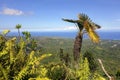 Scenic View from top of El Yunque Mountain above Baracoa Bay Cuba Atlantic Ocean Royalty Free Stock Photo