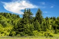 White streaming clouds in a blue sky over green mountains. Royalty Free Stock Photo