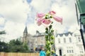 Scenic view of traditional houses with flowers in foreground, Dunkeld Royalty Free Stock Photo