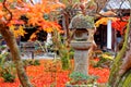Scenic view of a traditional stone lantern with fiery maple trees & fallen leaves on the ground in the Japanese courtyard garden o Royalty Free Stock Photo