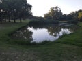 Scenic view of a trail along a pond surrounded by cattails and green shrubs in a park Royalty Free Stock Photo