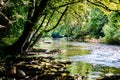 Scenic view from tree covered riverbank Royalty Free Stock Photo